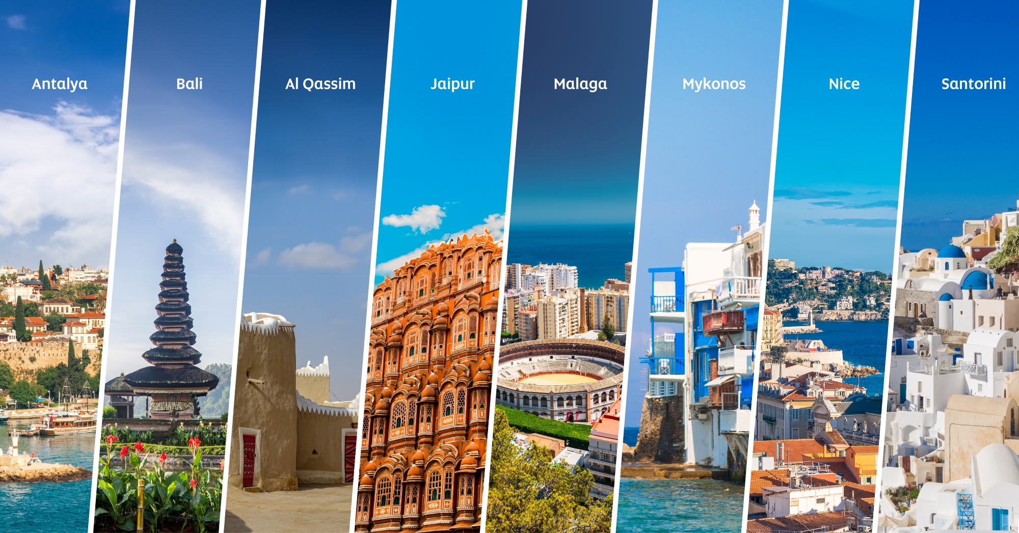 Etihad Cargo ramps up belly hold cargo capacity with summer schedule